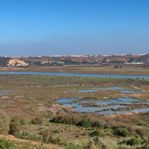 Swamps east of the Chellah where the birds find food with 250 meters high Mohamed VI tower on the top left